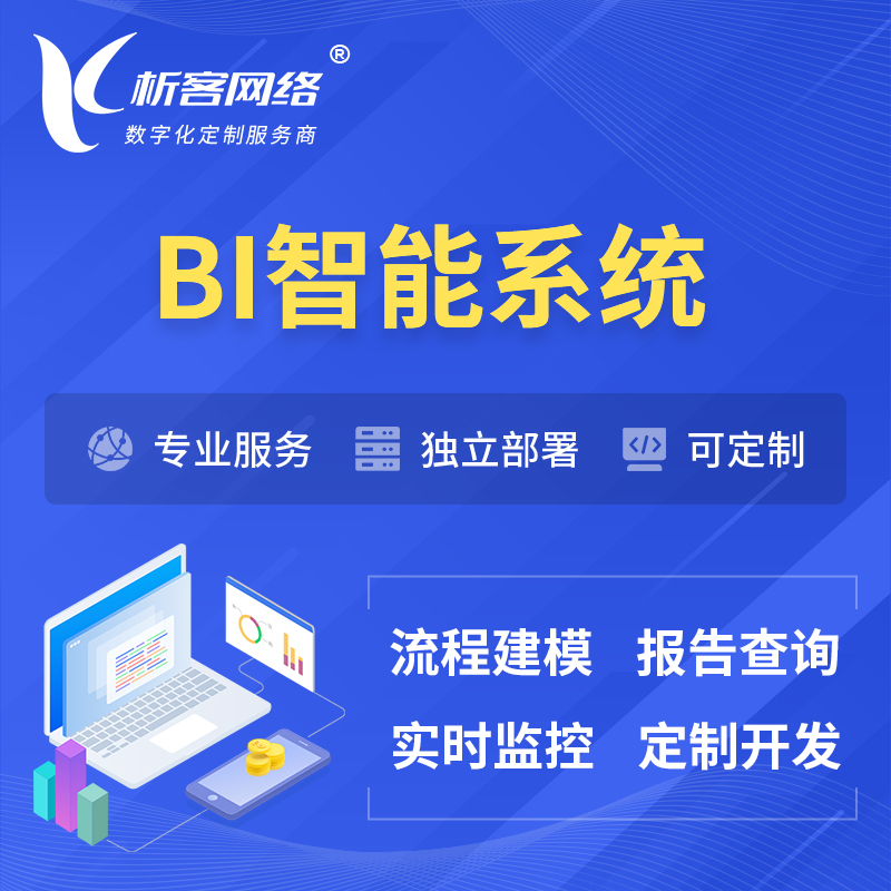 辽阳BI智能系统 | BI数据可视化